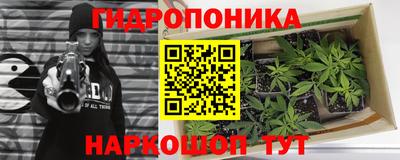 ешки Тверь